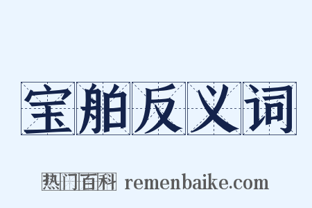 宝舶反义词是什么意思的图片
